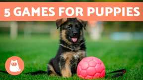 The BEST WAY to PLAY With a PUPPY 🐶 (5 Games for Puppies)