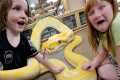 SNAKE ESCAPE in Exotic Zoo!!  Adley