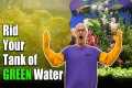 Fix GREEN Water in Aquariums