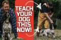TOP THINGS YOU MUST TEACH YOUR DOG
