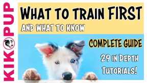 COMPLETE GUIDE to PUPPY TRAINING - What to train FIRST