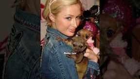 CELEBRITIES WHO HAVE EXOTIC PETS #shorts