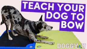 Take a Bow: Teach Your Dog to Bow (step-by-step guide)