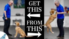 Teach Your Dog To Stop Jumping Up In 4 Simple Steps!