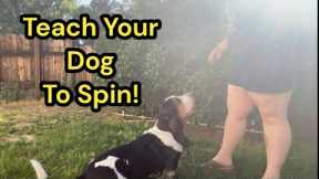 How to Teach Your Dog to Spin in a Circle! Dog Trick Tutortial