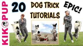 DOG TRICKS - 20 Trick Tutorials!