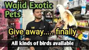 Wajid Exotic pets | New Update | Hand tamed birds | Grey Parrot | Hamster