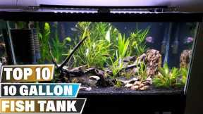 Fish Tank: ✅ Best 10 Gallon Fish Tanks 2024 (Buying Guide)