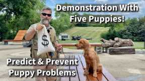 How To Predict & Prevent Puppy Training Problems | Basic Obedience Demonstration with Five Puppies