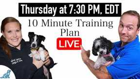 Get 5 Dog Training Wins EVERY DAY Before Work!