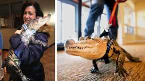 15 MOST Exotic Pets People Have