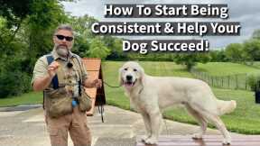 How To Be Consistent And Help Your Puppy (Dog) Succeed | Training Demonstration With Five Dogs