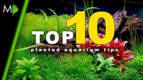 Top 10 Planted Aquarium Tips