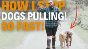 HOW I STOP DOGS PULLING So Quickly!