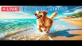 🔴 24 Hours of Relax Your Dog TV🎵Calming music to help your dog relax and fall asleep🐶🩷Dog Music