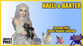 PossumChic Haeli’s Adventures with Baxter the Skunk and Her Other Exotic Pets