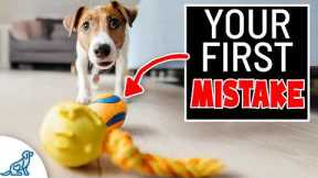 STOP Teaching Your Dog To Ignore Toys In Training!