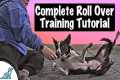 How To Teach Your Dog To Roll Over -