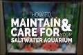 How To Maintain & Care For Your