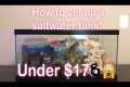 How to Set Up A Saltwater Tank for