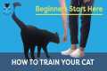 How To Train Your Cat: Beginners