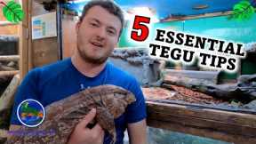 5 Essential Tips To Know Before Getting A Tegu!