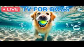 🔴 24 Hours of Dog TV🎵Videos for Dogs to Prevent Boredom🐶🩷Dog Separation Anxiety Music for Relaxation