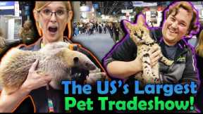 We went to the Global Pet Expo!