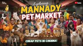 💥 Chennai Pet Market 2024 | 🐾 Buy & Sell Pets at Kozhi Market | 📍 Broadway's நாய்கள் | #petvlogs