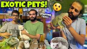 Meet the Rarest Pets at This Amazing Exotic Pets Shop!