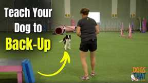 Teaching Your Dog The Back Up Trick: Tips, Criteria, Strategy