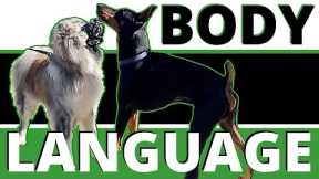 Dangerous Body Language Breakdown: Learn the Details to Help your Dog or Keep her Safe.