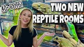 REPTILE ROOM TOUR 2023!! NEW PET ROOMS