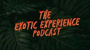 The Exotic Experience #2 - Leopard gecko health w/ Justin Falsis