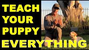 How to Train Your PUPPY to do Everything - Puppy Dog Training Video - Robert Cabral