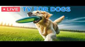 🔴24 hours of Dog TV🎵Calming Music for Dogs with Anxiety🐶🩷Dog Stress Relief & Deep Relaxation Music