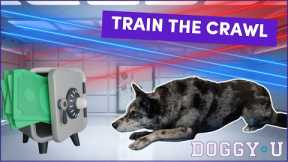 Teach Your Dog to Crawl: The Only Video You’ll Need! (easy dog trick!)