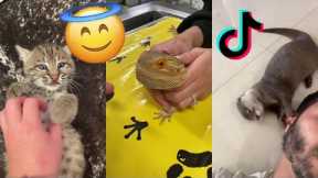 Exotic Pet TikTok Compilation: From Snakes to Monkeys and Everything In Between!