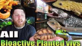 Reptile Room Tour, But It's All Bioactive Enclosures | Over 100 Reptiles