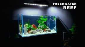 MAKING A *FRESHWATER REEF* AQUARIUM || STEP BY STEP || MD FISH TANKS