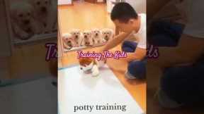 How to Potty Train Your Puppy (CAREFULLY EXPERIMENTED)