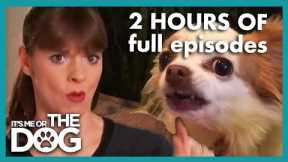 2 HOURS of the Craziest Full Episodes | It's Me or The Dog