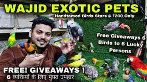 Exotic Pets Mumbai | Hand Tamed Birds | Hamsters | Rabbits & Iguanas