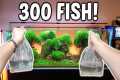 Adding 300 FISH! To Ancient Gardens