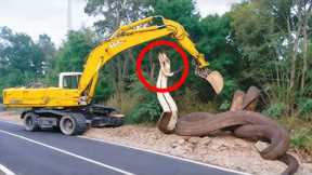 Construction Workers in Thailand Discovered a Giant Two Headed Snake, What Happened Next Is Shocking