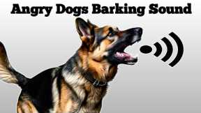 Dog Sound | Dog Barking | Dog Voice | Kutte Ki Bhaunkne Ki Awaaz