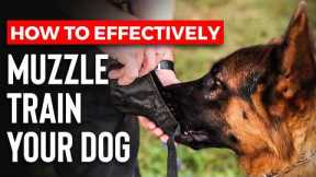 Muzzle Training Made EASY for ANY Dog - Don't Make this Mistake!