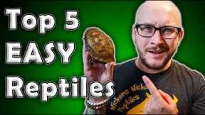 Top 5 Low Maintenance, Easiest, Least Time Consuming Reptiles