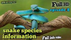 snake species in india | ❌🐍 | snakes video snake species snake world biggest snake 2024 | epi 8