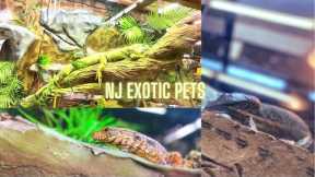 VISITING NJ EXOTIC PETS NEW LOCATION | TOUR WITH ME!